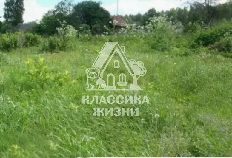 Участок в Нижегородская область, Нижний Новгород городской округ, д. ... - Фото 1
