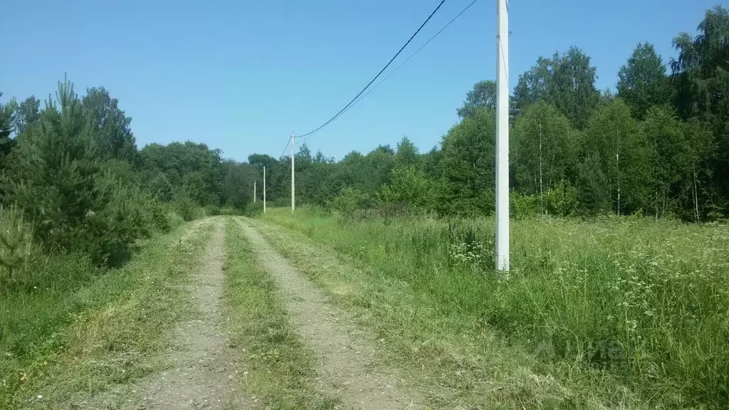 Участок в Владимирская область, Александровский район, Андреевское ... - Фото 1