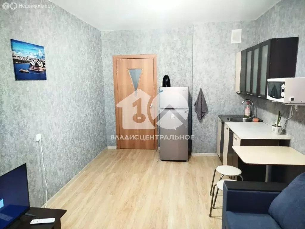 Квартира-студия: Новосибирск, улица Дмитрия Шмонина, 4 (20.5 м) - Фото 0
