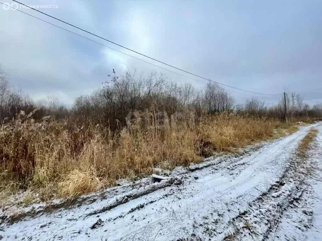 Участок в Тюменская область, Нижнетавдинский муниципальный округ, СНТ ... - Фото 1