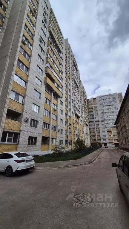 1-к кв. Воронежская область, Воронеж Пеше-Стрелецкая ул., 100 (41.3 м) - Фото 1