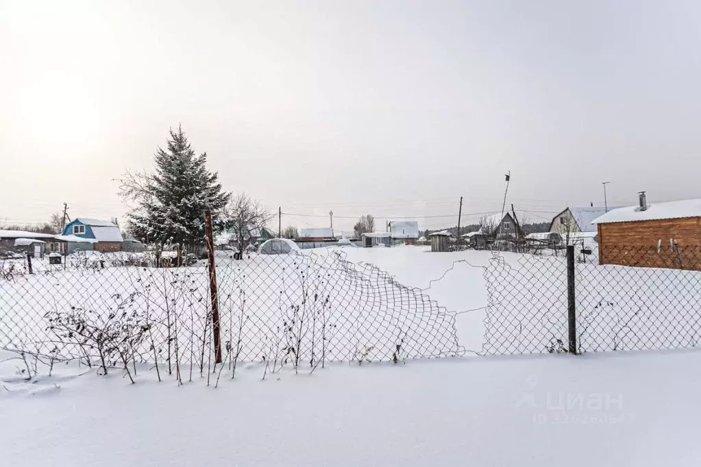 Участок в Новосибирская область, Бердск Росинка СНТ, ул. 16-я, 5 (5.0 ... - Фото 0