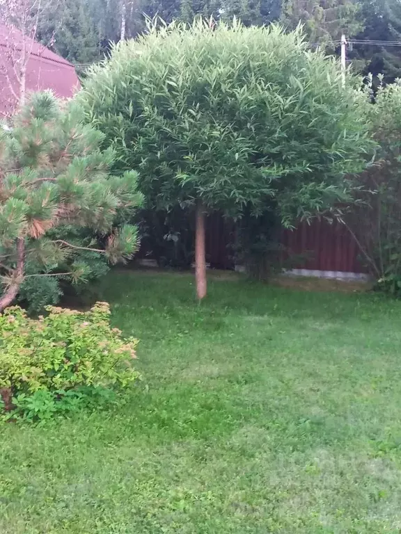 Дом в Московская область, Наро-Фоминский городской округ, Лесное ... - Фото 2