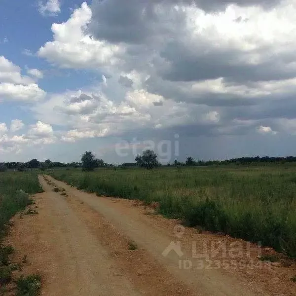Участок в Ростовская область, Аксайский район, Ольгинская ст-ца ... - Фото 0