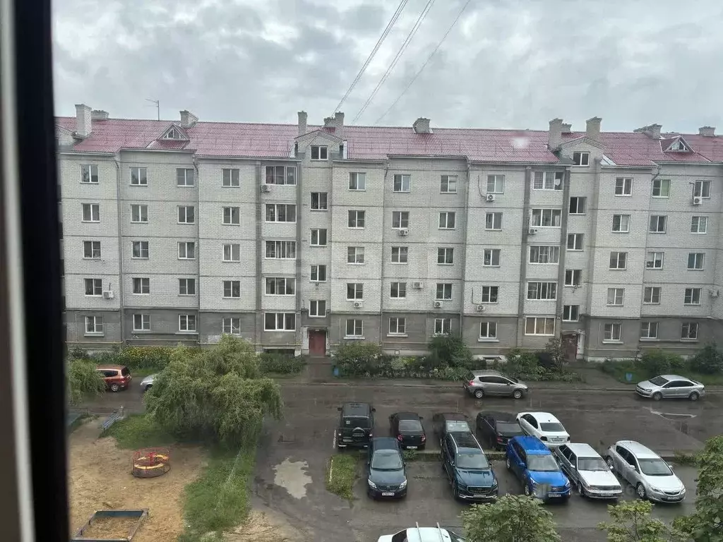 1-к кв. Воронежская область, Семилуки Транспортная ул., 12/5 (42.0 м) - Фото 0