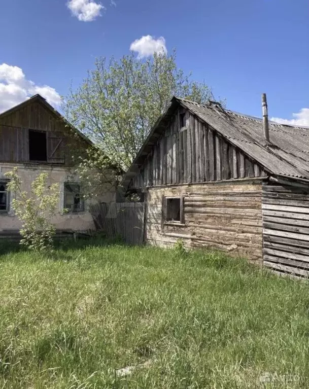 Дивовка Брянская область.