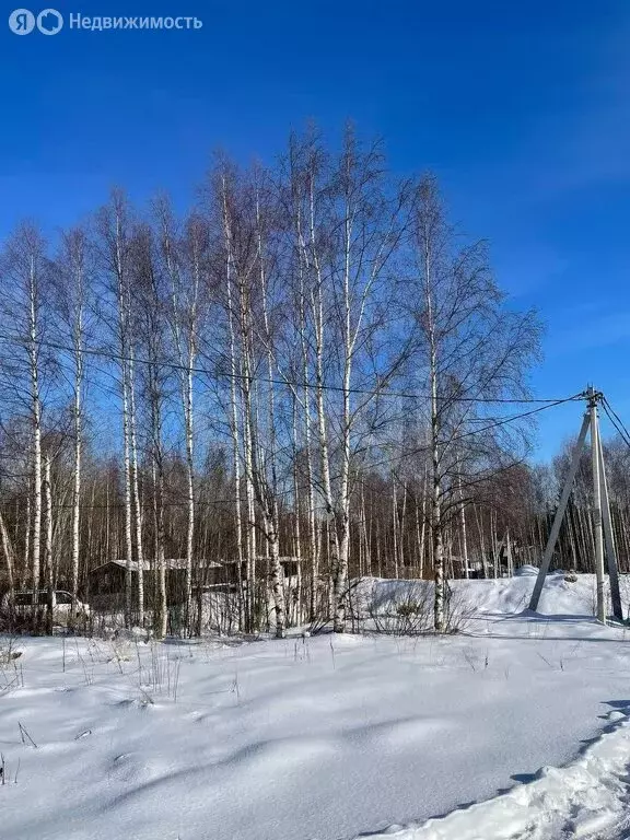 Участок в Пениковское сельское поселение, деревня Таменгонт, Кольцевая ... - Фото 1