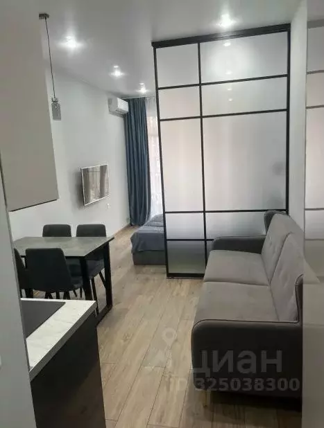 Студия Краснодарский край, Сочи городской округ, Дагомыс пгт ш. ... - Фото 1