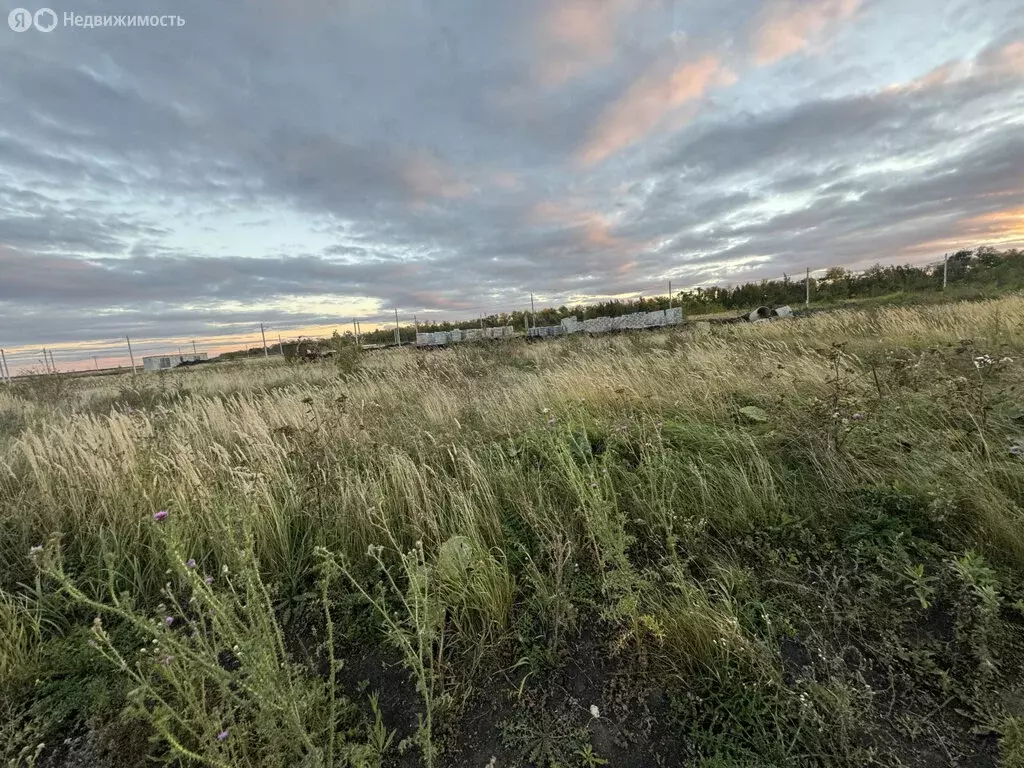 Участок в Озёрное сельское поселение, деревня Чурилово (7 м) - Фото 0