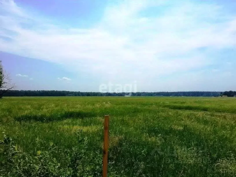 Участок в Липецкая область, Задонский район, Верхнестуденецкий ... - Фото 1