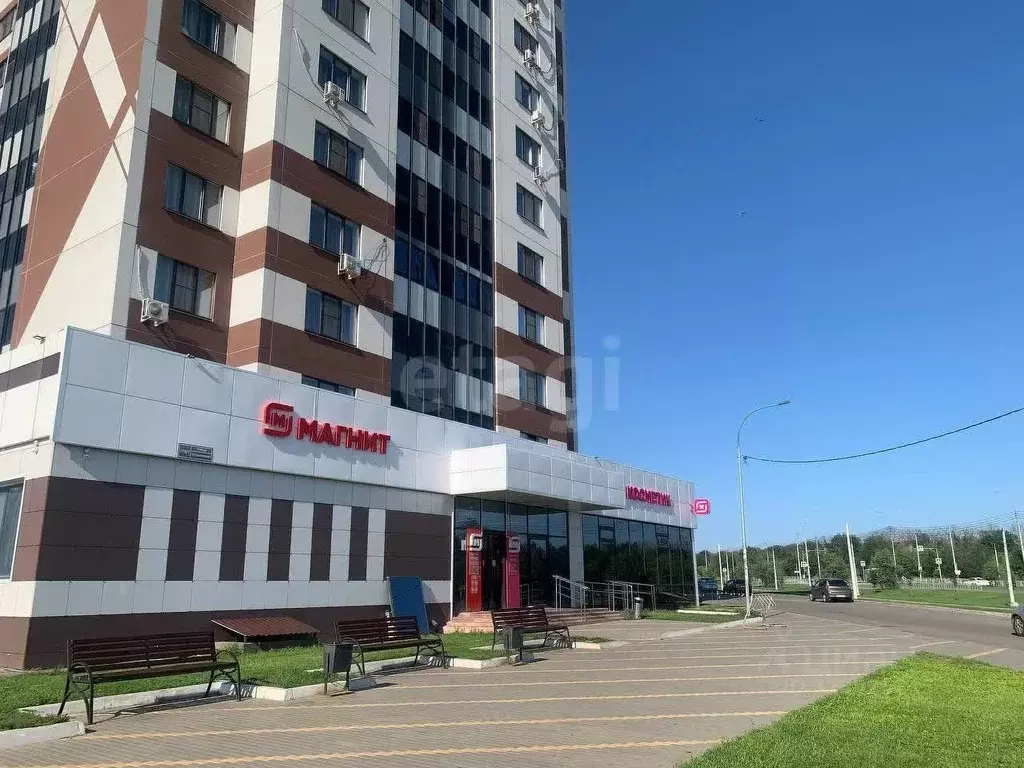 3-к кв. Воронежская область, Воронеж Острогожская ул., 170/7 (75.4 м) - Фото 1