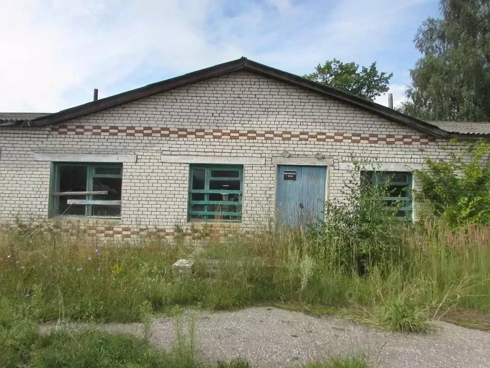 Помещение свободного назначения в Владимирская область, Вязниковский ... - Фото 1