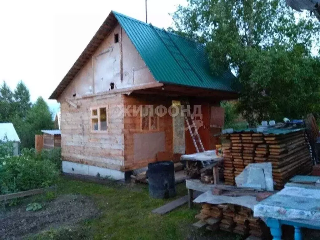 Участок в Новосибирская область, Новосибирский район, Новолуговской ... - Фото 1