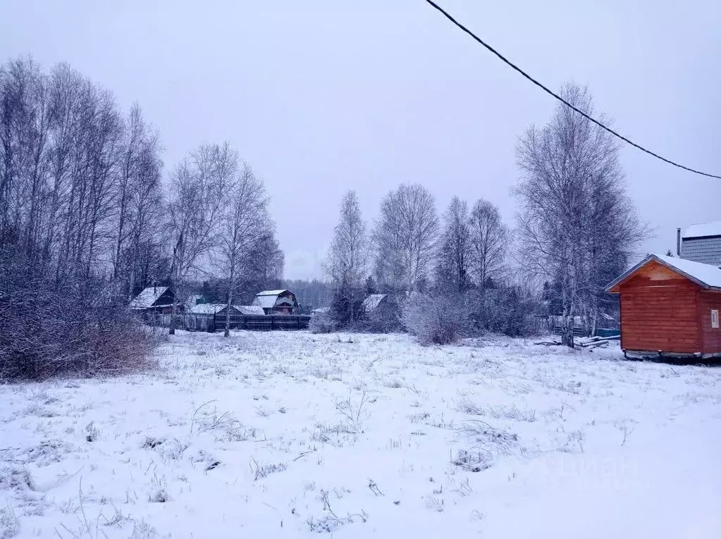 Участок в Тюменская область, Нижнетавдинский муниципальный округ, ... - Фото 1