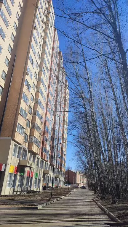 2-к кв. Московская область, Ногинск Богородский городской округ, ул. ... - Фото 1