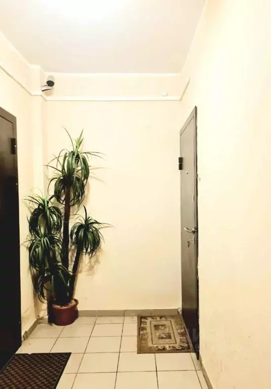 Квартира, 2 комнаты, 61.5 м - Фото 1