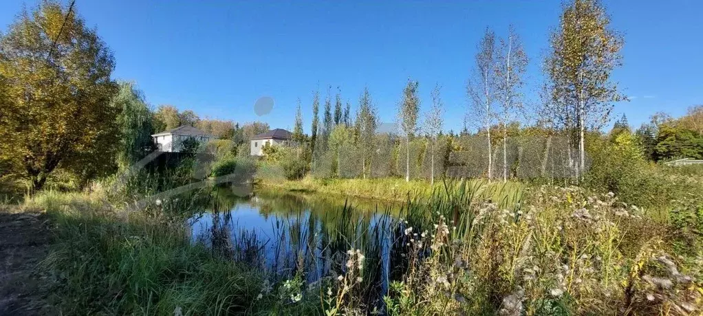 Участок в Московская область, Пушкинский городской округ, д. Могильцы, ... - Фото 1