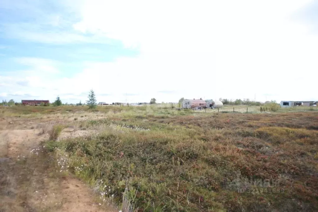 Участок в Ямало-Ненецкий АО, Новый Уренгой ул. 3-я Каскадная (6.0 ... - Фото 1