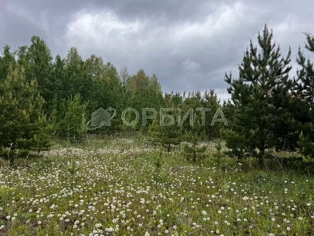 Участок в Тюменская область, Тюменский район, Новокаменский кп ул. ... - Фото 0