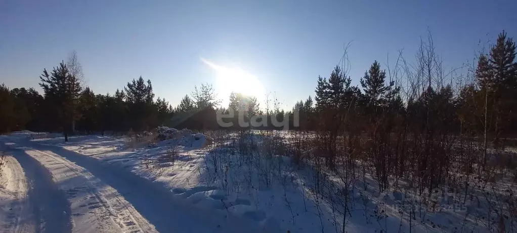 Участок в Забайкальский край, Читинский район, с. Смоленка  (10.0 ... - Фото 0