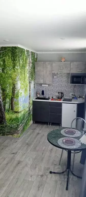 Студия Башкортостан, Стерлитамак Лесная ул., 24А (23.0 м) - Фото 1