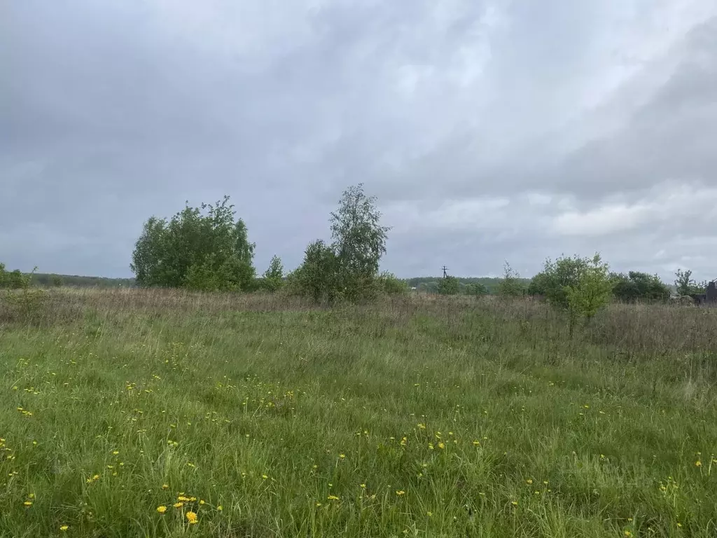 Участок в Московская область, Луховицы  (12.02 сот.) - Фото 1