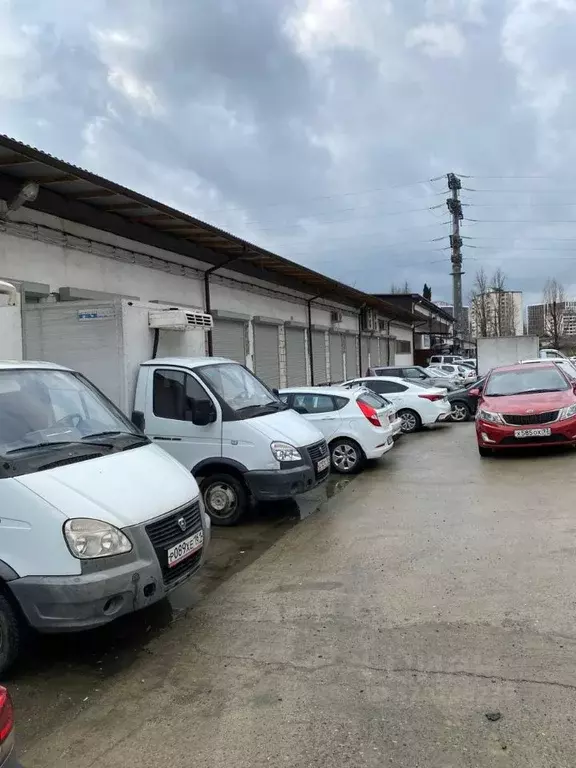 Помещение свободного назначения в Краснодарский край, Сочи городской ... - Фото 0