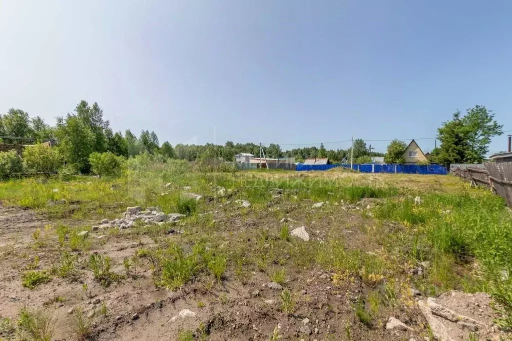 Участок в Тюменская область, Тюмень Якорь садовое товарищество, ул. ... - Фото 1