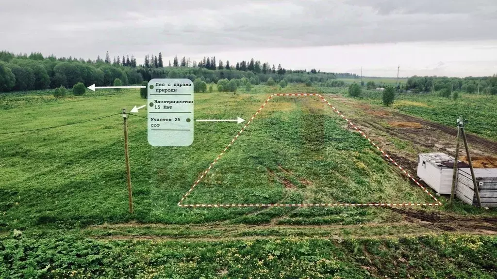 Участок в Ленинградская область, Волосовский район, д. Клопицы ул. ... - Фото 1