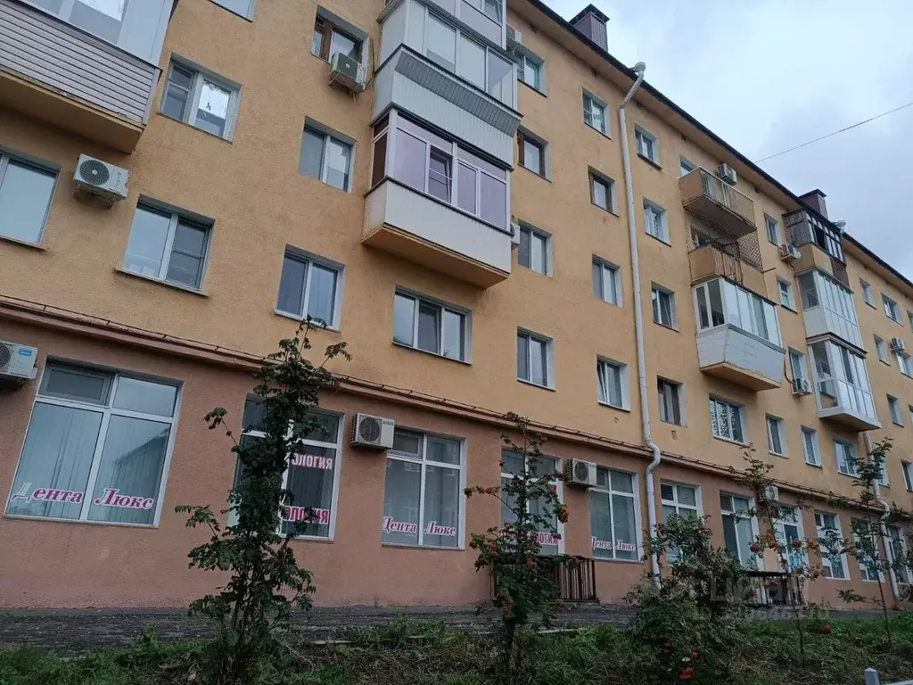 Помещение свободного назначения в Омская область, Омск Ильинская ул., ... - Фото 1