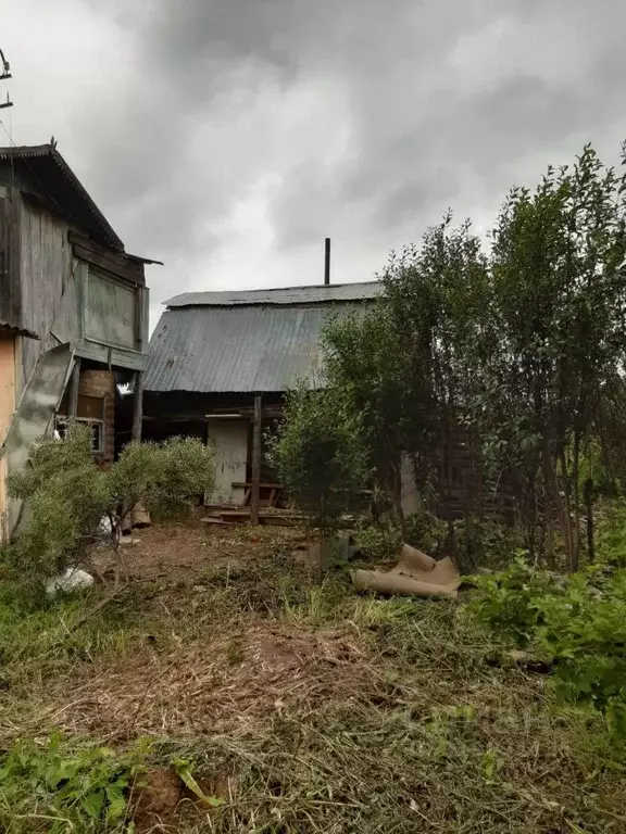 Дом в Томская область, Томск пос. Светлый, Рябинка садовое ... - Фото 1
