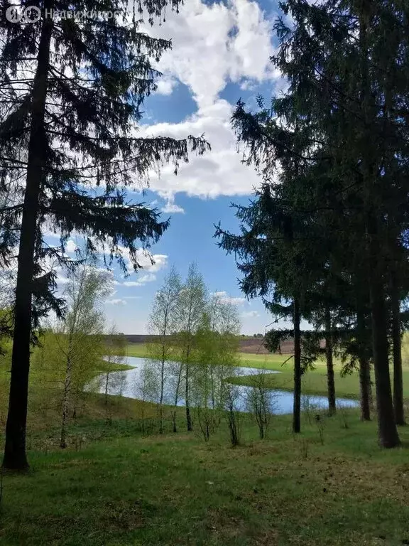 Дом в Брянский район, посёлок Мичуринский (190.6 м) - Фото 2