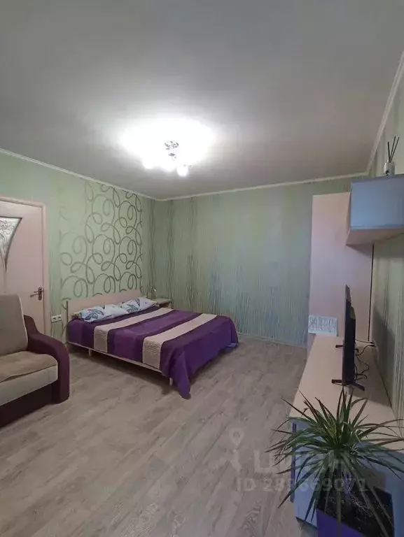 1-к кв. Крым, Ялта муниципальный округ, Гурзуф пгт ул. Чехова, 3 (40.0 ... - Фото 1