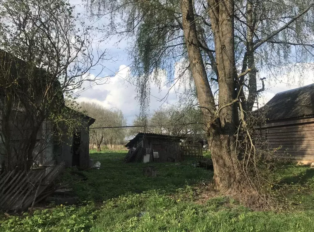 Дом в Смоленская область, Сычевский муниципальный округ, д. Кукино  ... - Фото 1