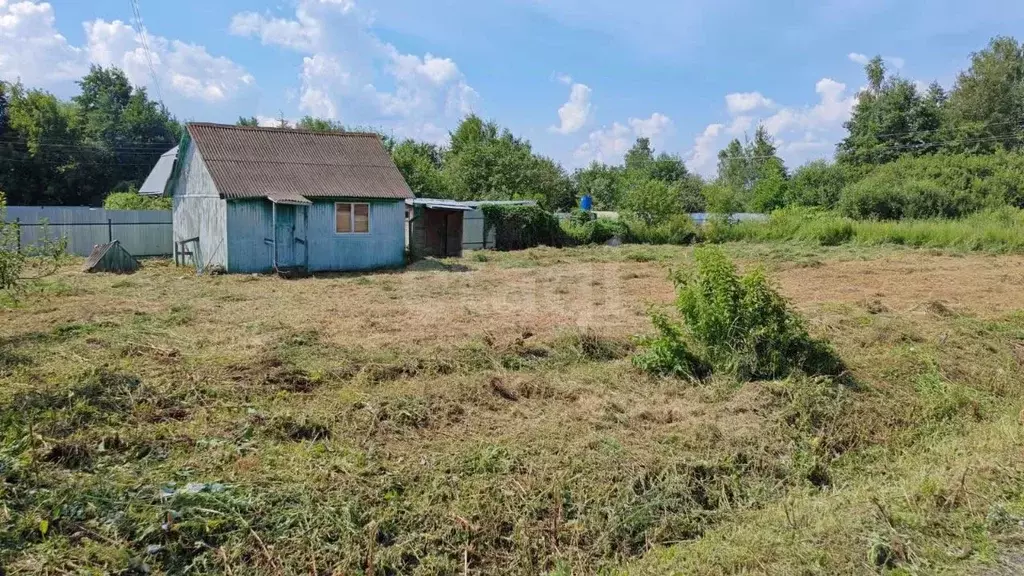 Участок в Московская область, Богородский городской округ, Овощевод ... - Фото 2