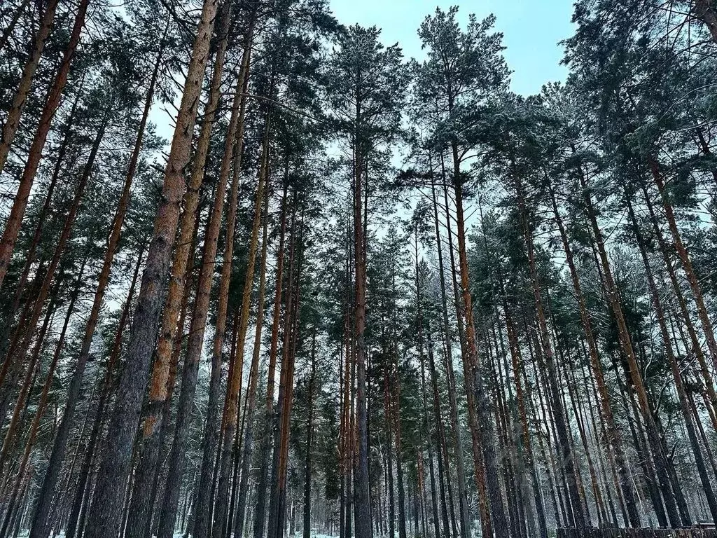 Дом в Пензенская область, Пензенский район, Золотаревка муниципальное ... - Фото 1