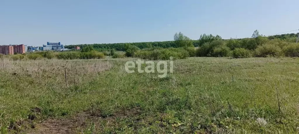 Участок в Мордовия, Лямбирский район, с. Берсеневка  (12.0 сот.) - Фото 0