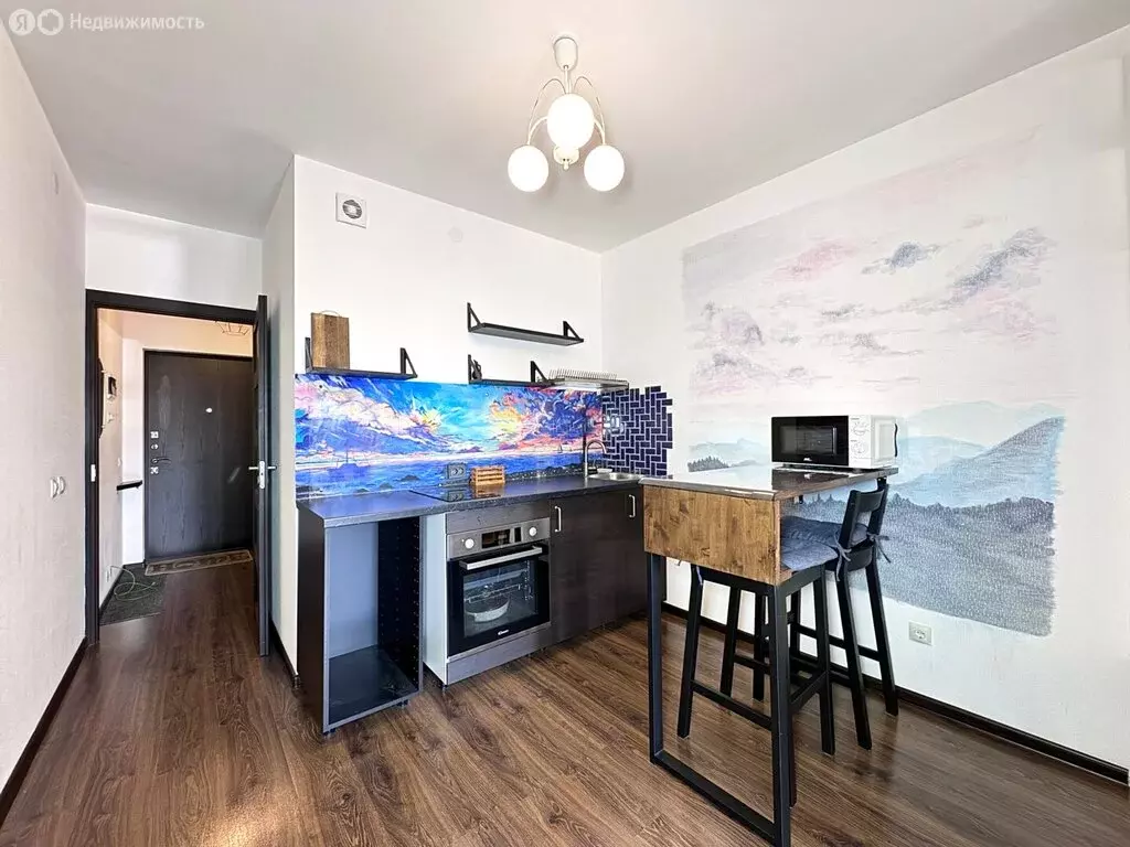 Квартира-студия: Санкт-Петербург, проспект Ветеранов, 173к7 (25 м) - Фото 2