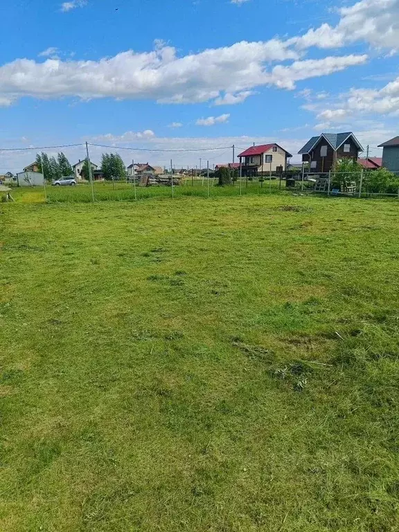 Участок в Новосибирская область, Новосибирский район, Толмачевский ... - Фото 1