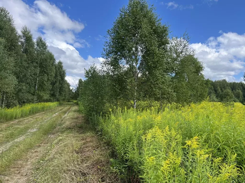 Участок в Нижегородская область, Бор городской округ, д. Макарово  ... - Фото 0
