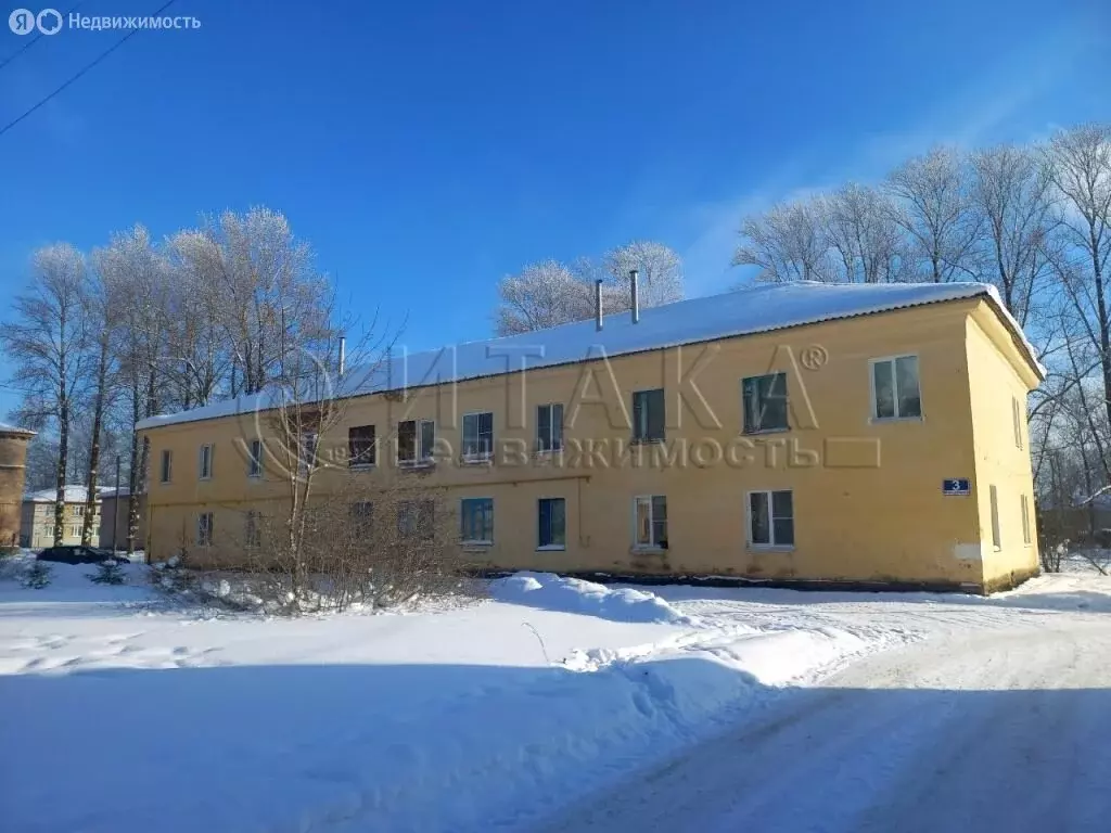 1-комнатная квартира: Пикалёво, Молодёжная улица, 3 (42.5 м) - Фото 1