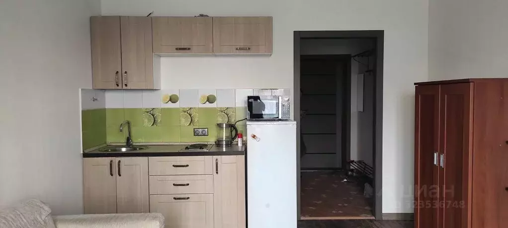 1-к кв. Новосибирская область, Новосибирск Стартовая ул., 1 (24.7 м) - Фото 1