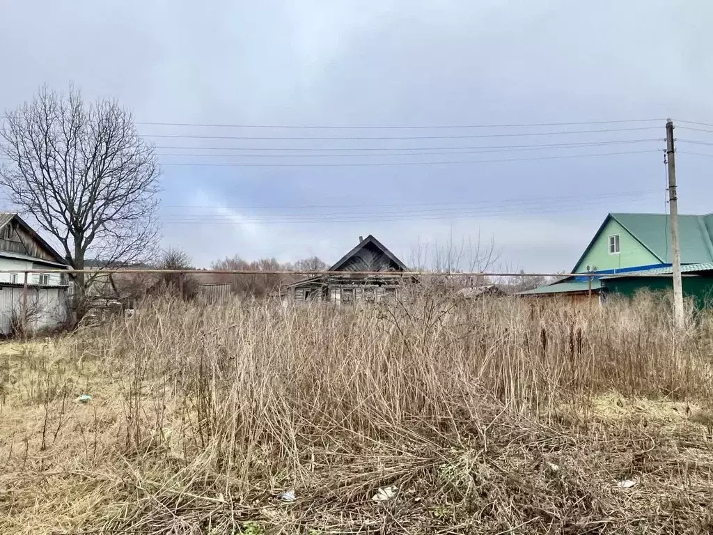 Дом в Мордовия, Большеберезниковский район, с. Косогоры ул. Ленина, ... - Фото 2