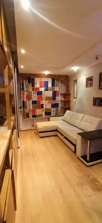 2-к кв. Московская область, Ногинск Богородский городской округ, ул. ... - Фото 2