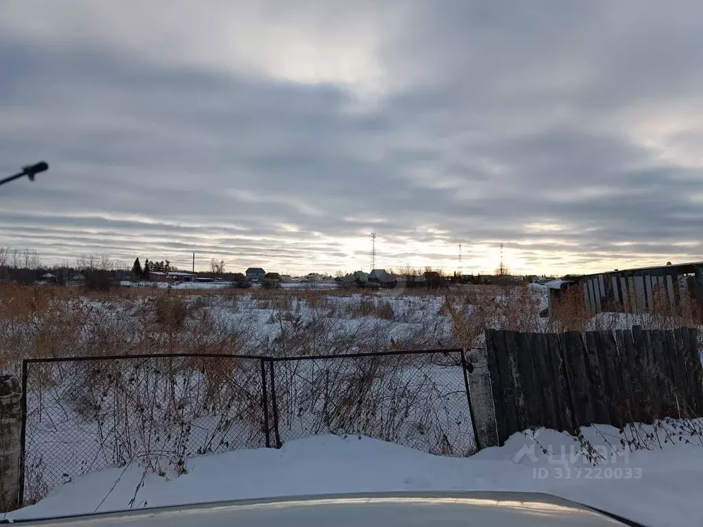 Участок в Тюменская область, Нижнетавдинский район, с. Велижаны ул. ... - Фото 1