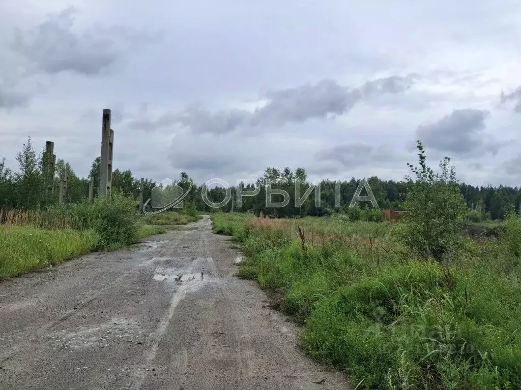 Участок в Тюменская область, Тюменский муниципальный округ, ... - Фото 0