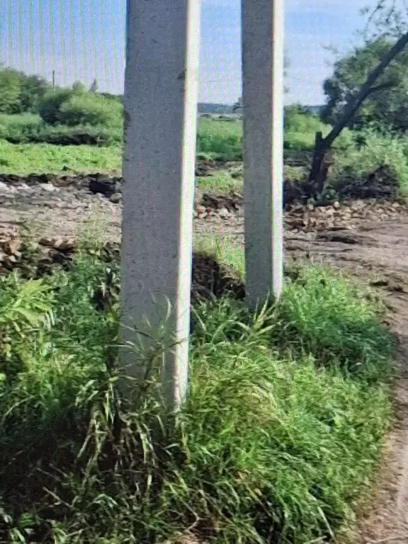 Участок в Приморский край, Уссурийск Сахпоселок мкр,  (10.0 сот.) - Фото 2