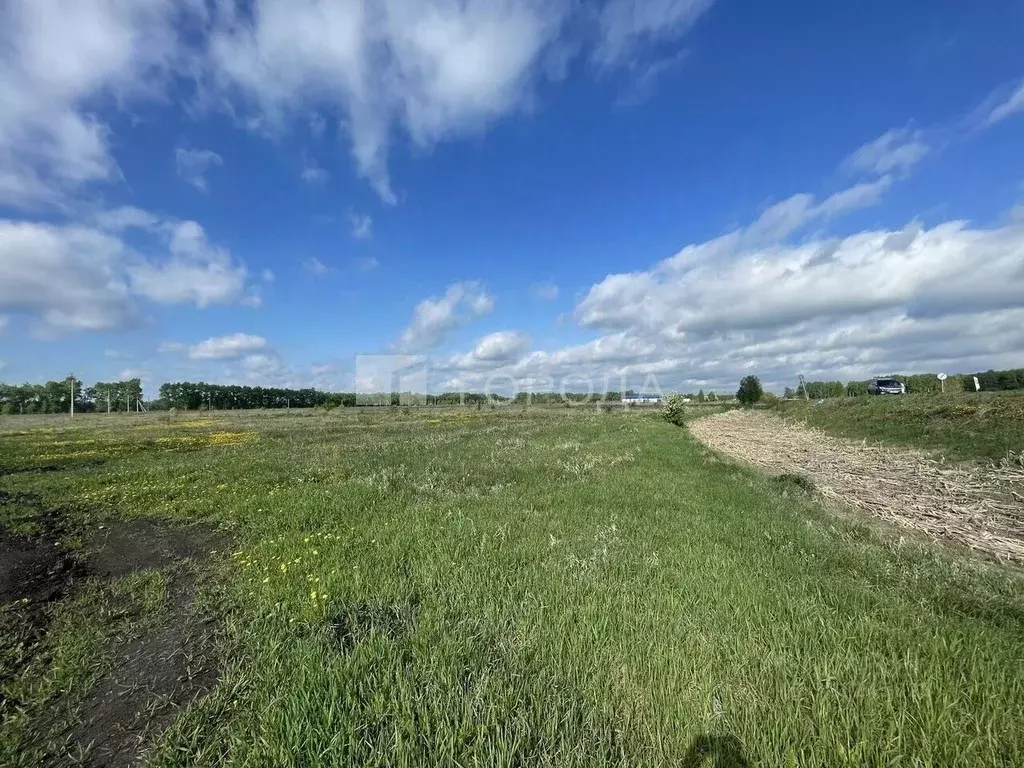 Участок в Новосибирская область, Коченево рп  (9.0 сот.) - Фото 0