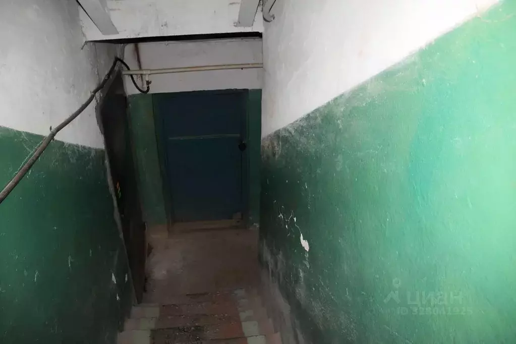 Помещение свободного назначения в Брянская область, Брянск ул. Дуки, ... - Фото 1