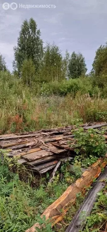 Участок в Шадринск, СНТ Радуга (993 м) - Фото 1